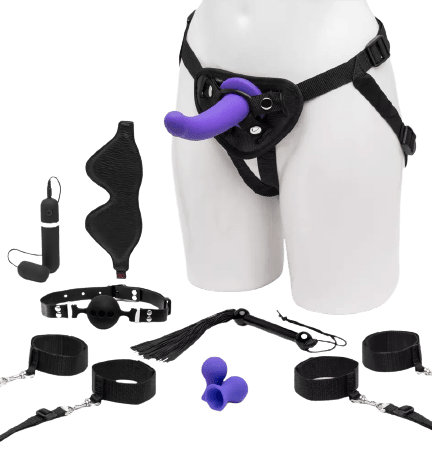 Lovehoney Take Control Bondage Kit (10 Piece)