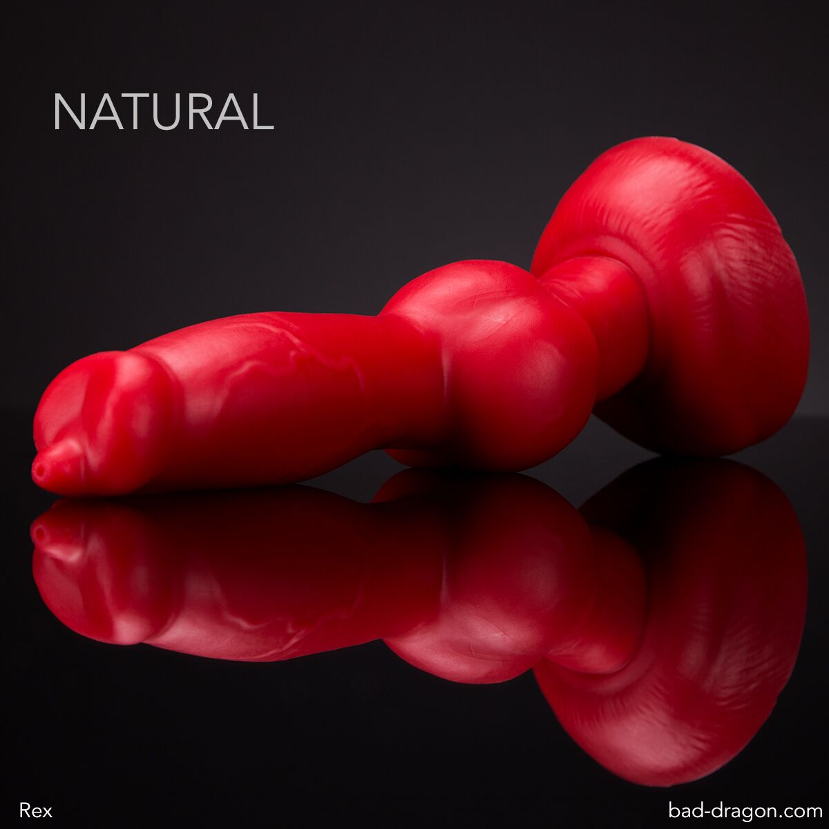 Bad Dragon Rex